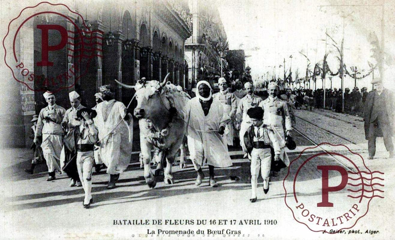 ALGER - BATAILLE DE FLEURS - PROMENADE DES BOEUFS GRAS - AVRIL 1910.jpg
